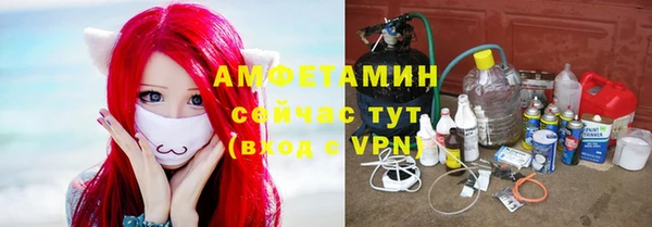 бошки Алексин