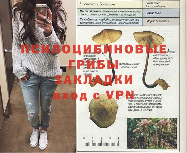 стаф Ладушкин