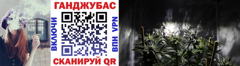 kraken ссылки  Александров  МАРИХУАНА SATIVA & INDICA  купить  сайты 